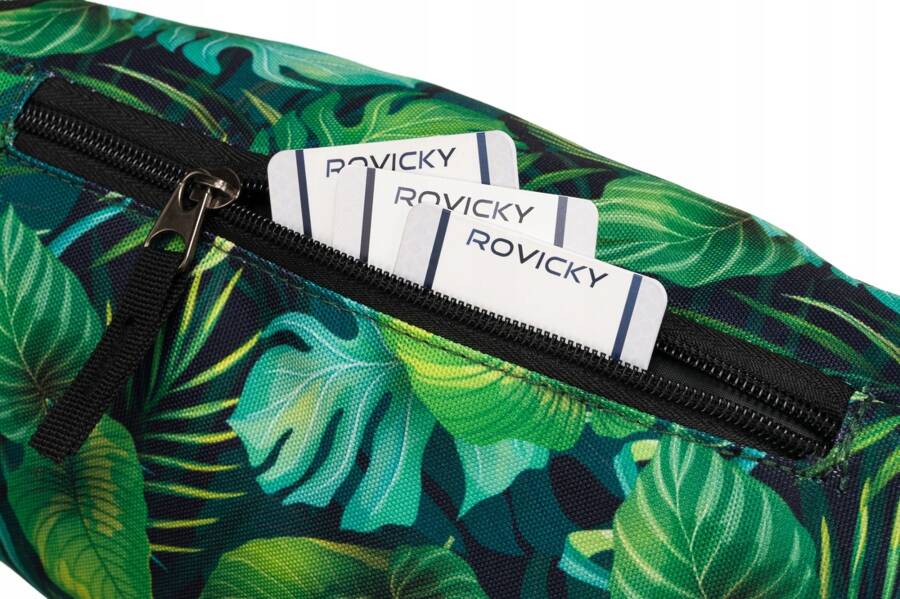 Сумка поясна жіноча Rovicky R-WB27-6732-03 Сумка поясна жіноча Rovicky R-WB27-6732-03