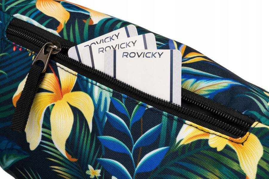 Сумка поясна жіноча Rovicky R-WB27-6794-09 Сумка поясна жіноча Rovicky R-WB27-6794-09